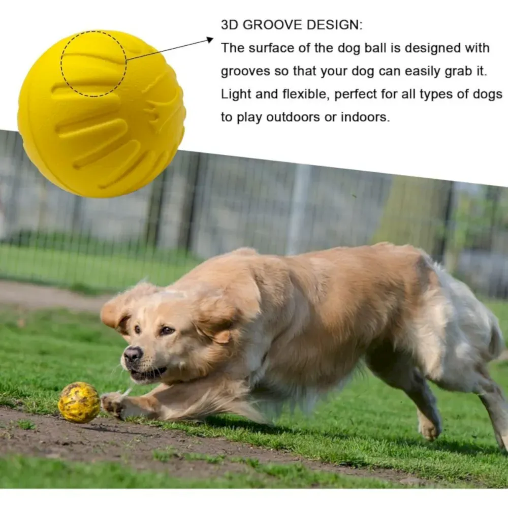 Outdoor Training Dog Toy Fetch Ball