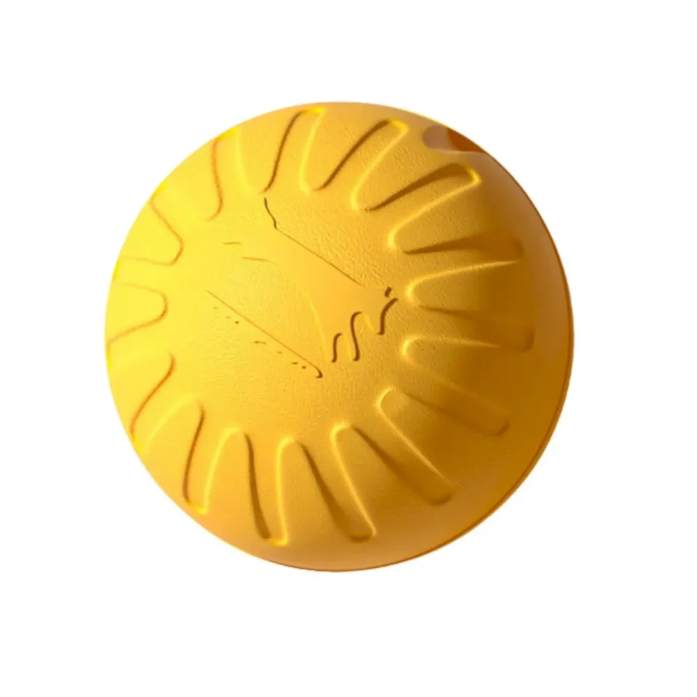 Outdoor Training Floating Bouncy Dog Toy Fetch Ball