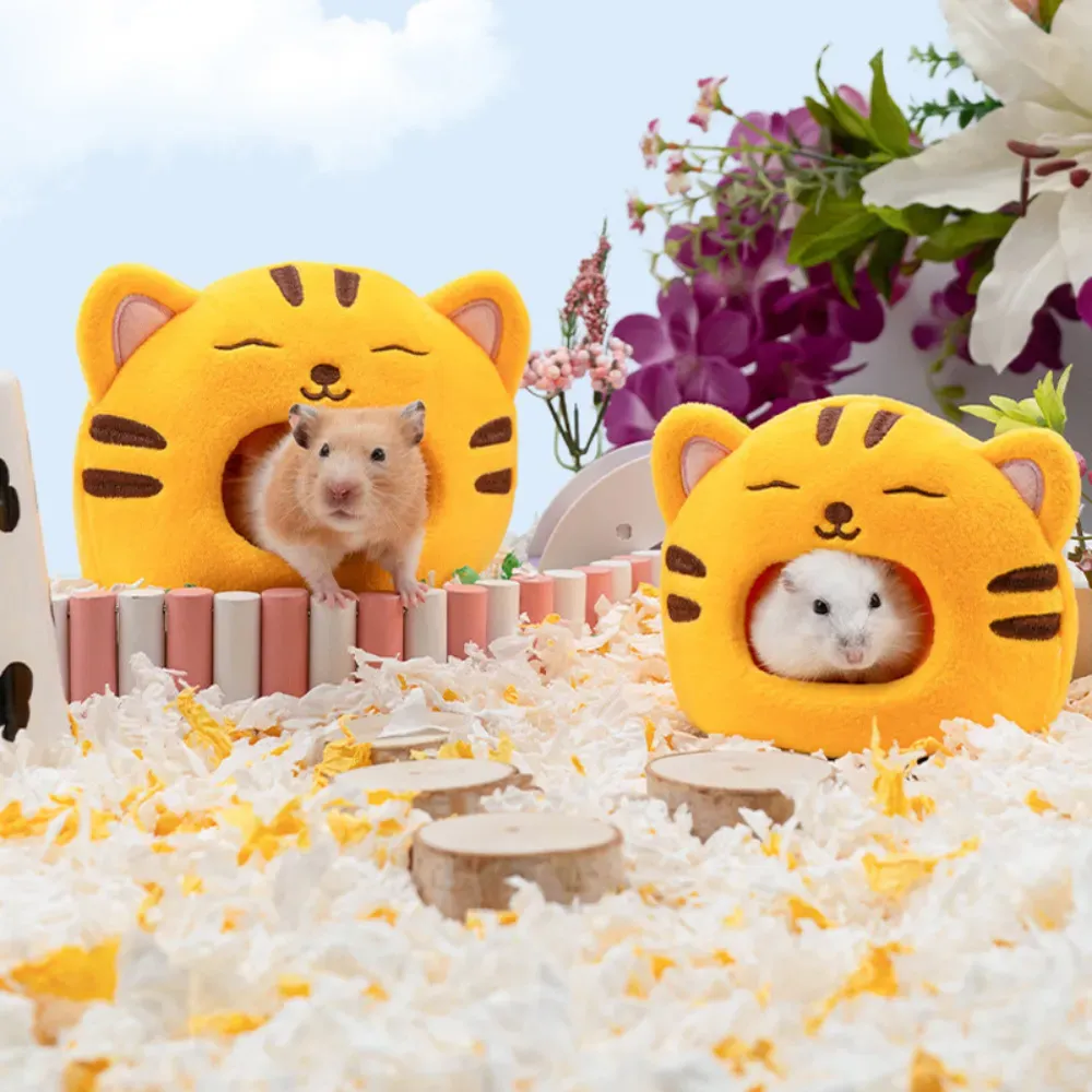 Small Animal Cave Hamster