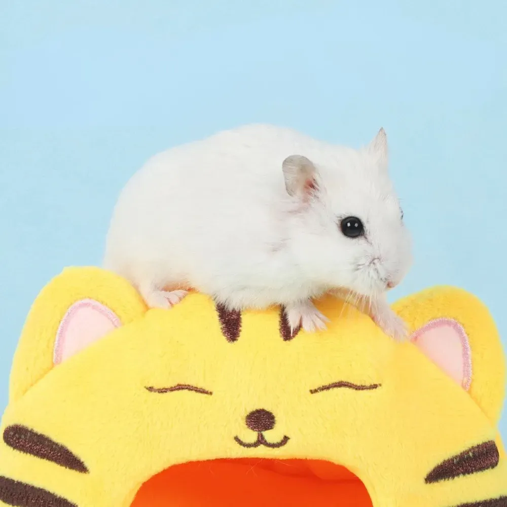 Small Animal Nest Hamster