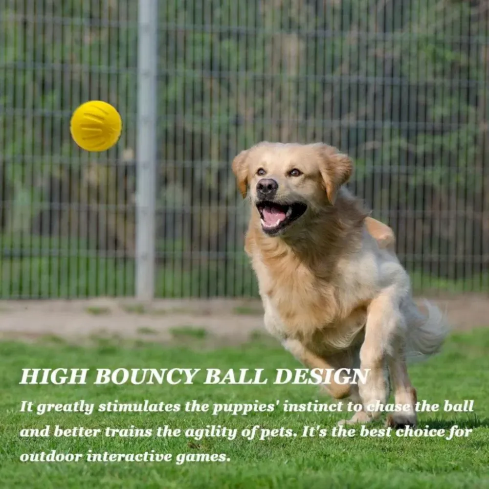 Training Floating Bouncy Dog Toy Fetch Ball