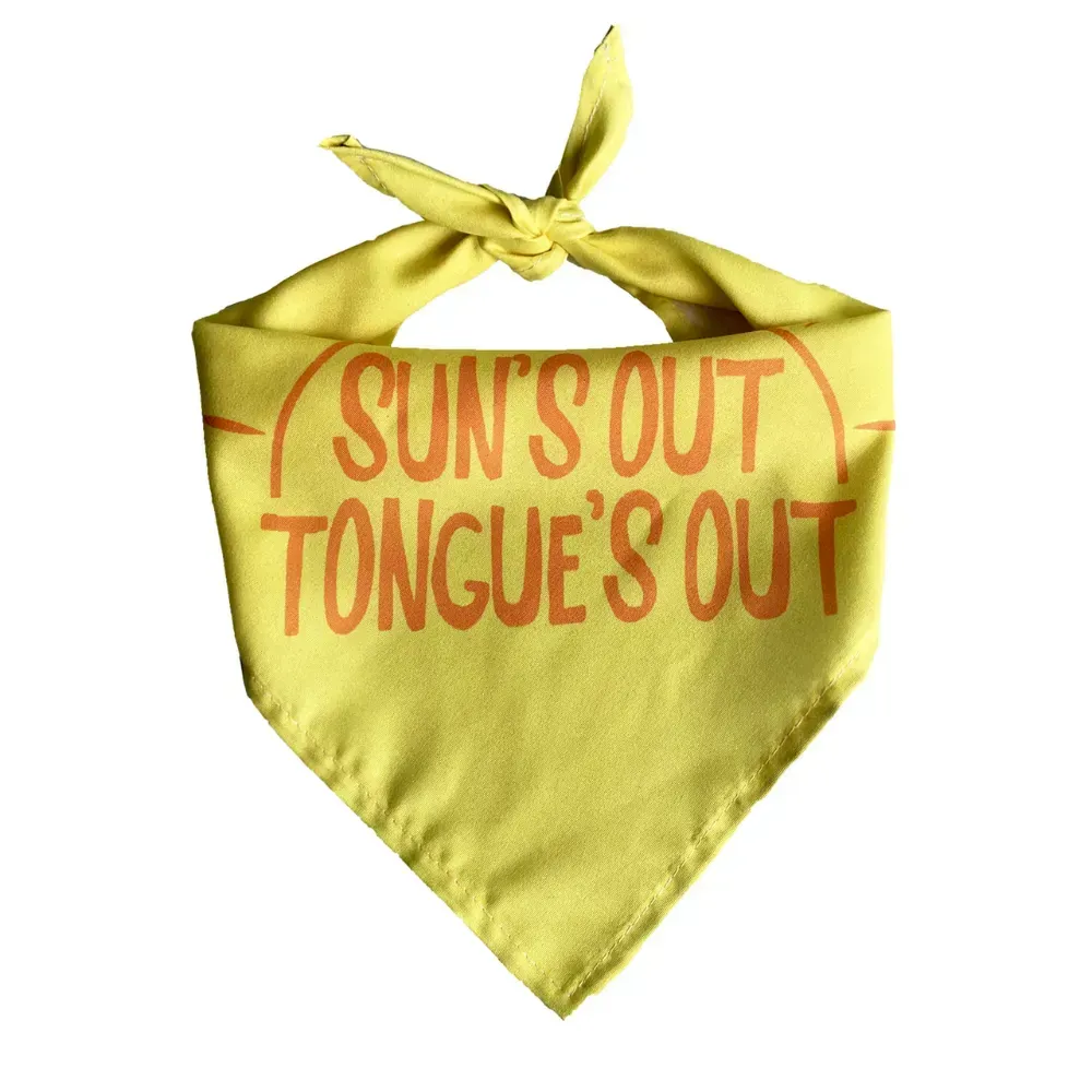 Wholesale Trendy Printed Pet Bandana, Outdoor Single Layer Dog Cat Scarf_结果