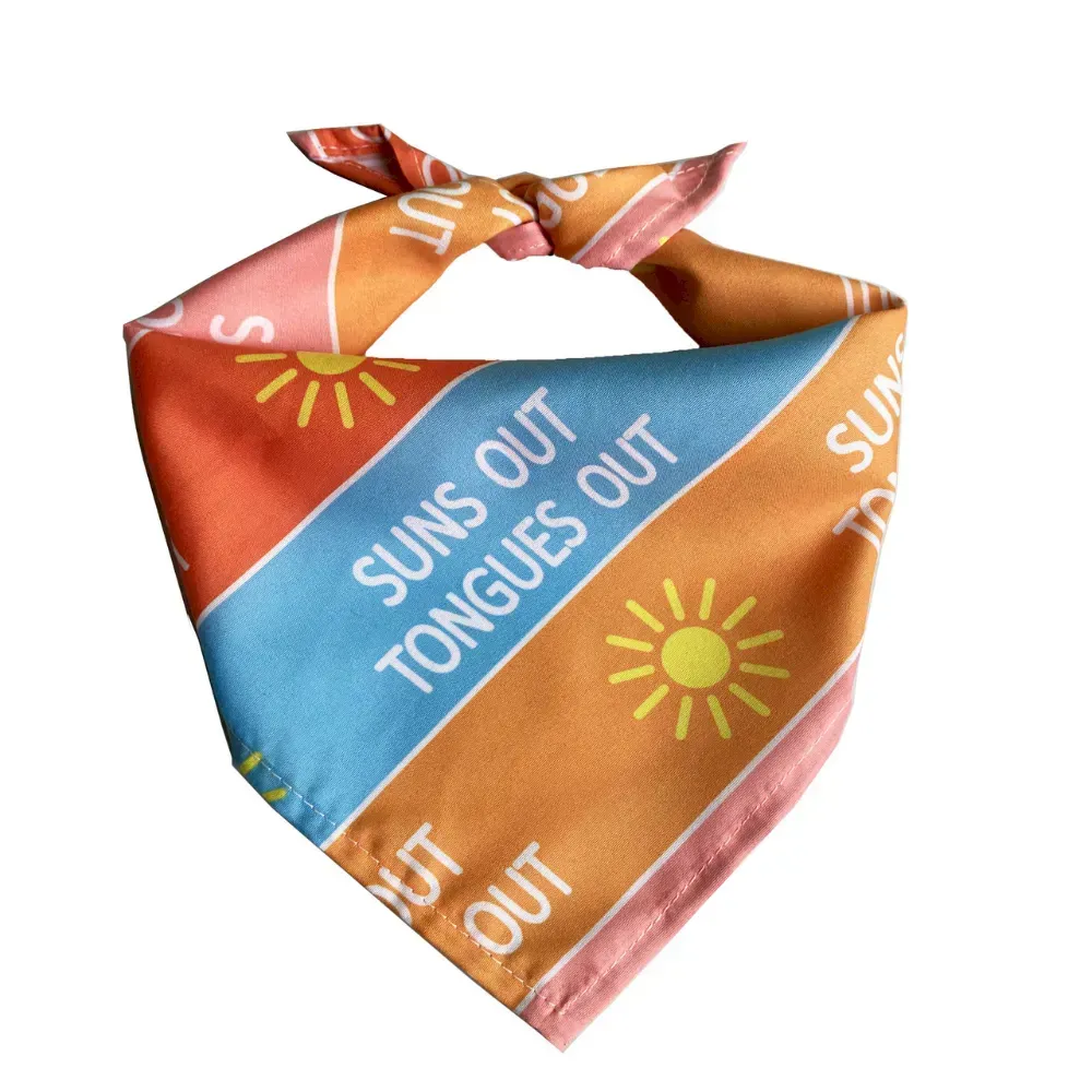 Wholesale Trendy Printed Pet Bandana, Outdoor Single Layer Dog Cat Scarf_结果