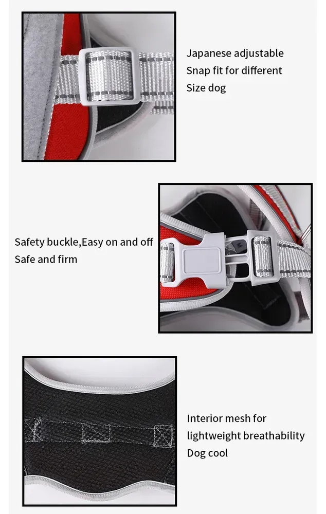 Wholesale Adjustable XL Reflective Service Dog Harness & Leash Set, 5 Colors, 5pcsCarton