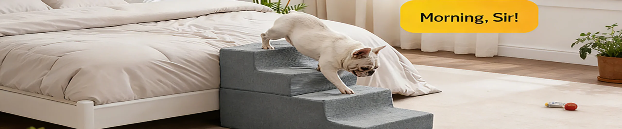 indoor pet ramps for dogs