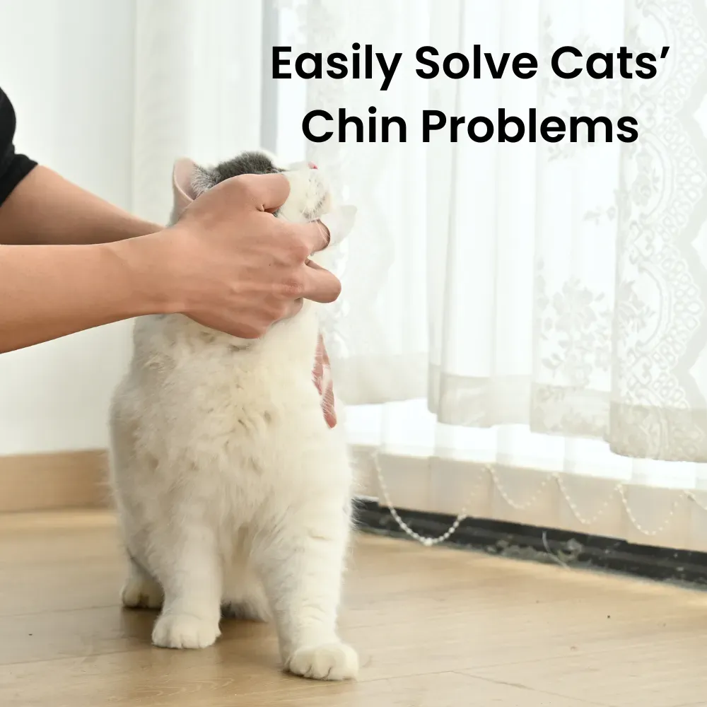 Wholesale Cat Chin Acne Cleaner Wipes No-Rinse Cat Chin Blackhead Clean Wipes