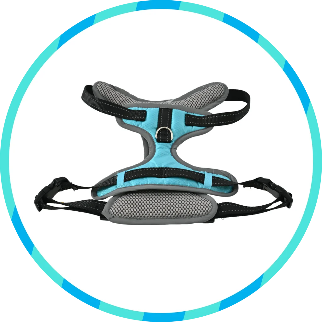 wholesale Dog—Collars, Harnesses & Leashes