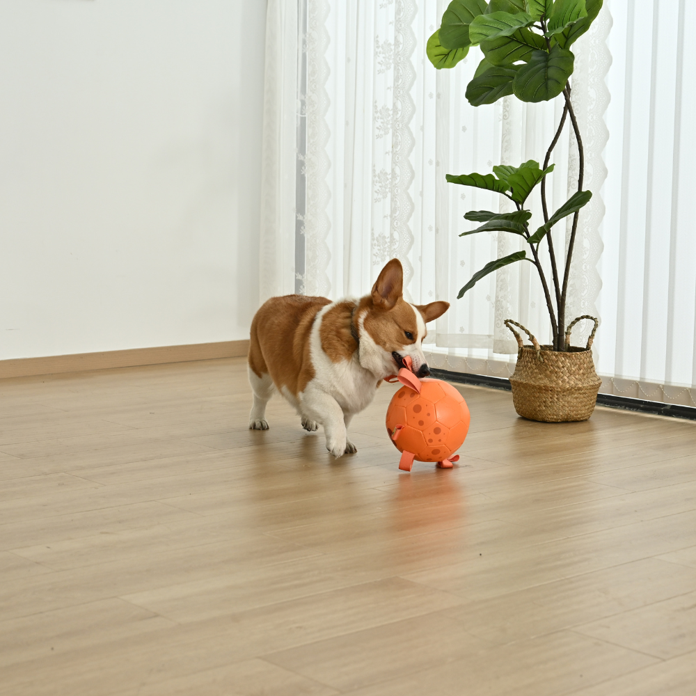 Wholesale Crab Dog Ball Toy, Dog Soccer Balls with Straps, Funny Interactive Dog Toys Gifts for Puppies？