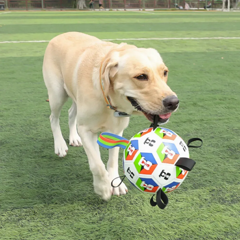 Wholesale World Cup Interactive Black and White Dog Toy Soccer Ball