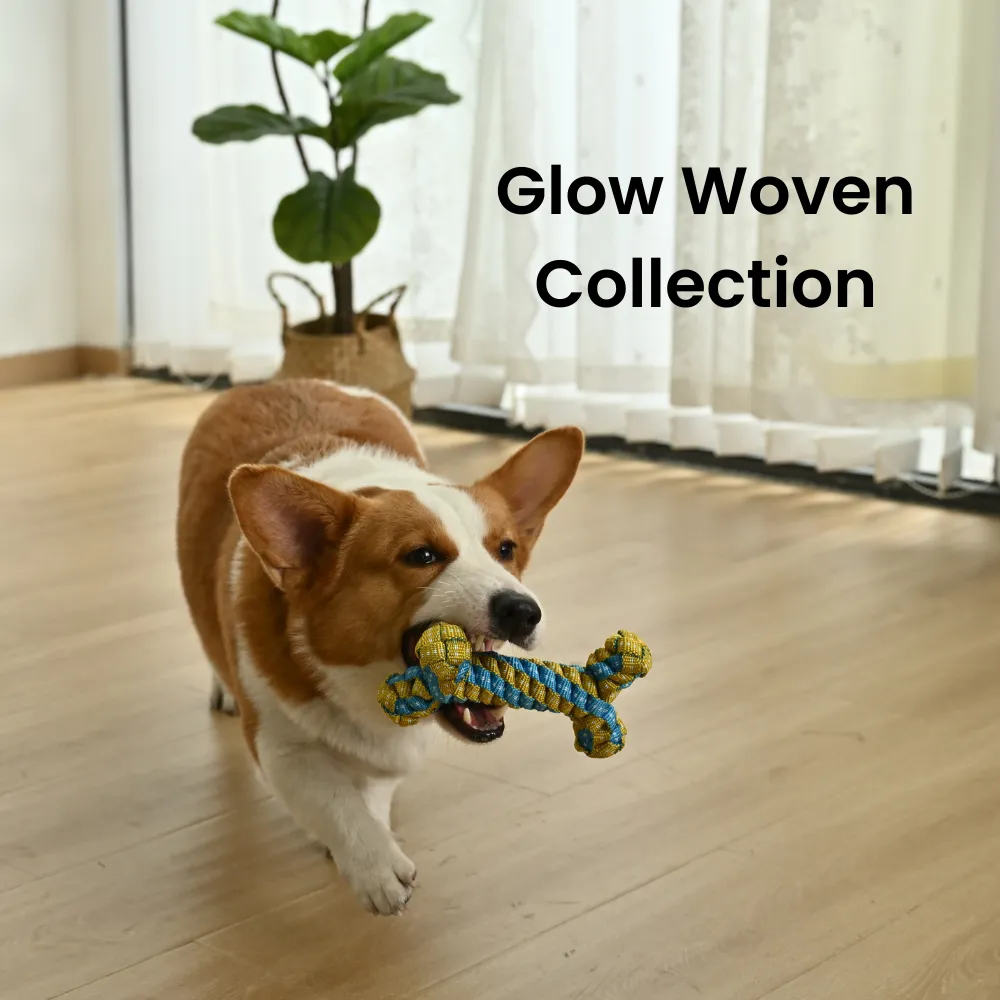 Bone Shaped Rope Dog Toy, 60 pcsCarton
