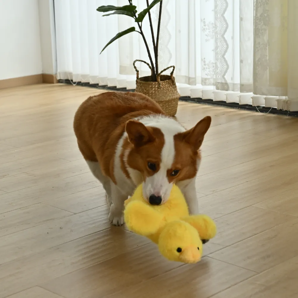 Cute Duckling Style Plush Dog Toy with Squeaker4_Duck Dog Toy, 3 Colors Assorted, 12pcsCarton