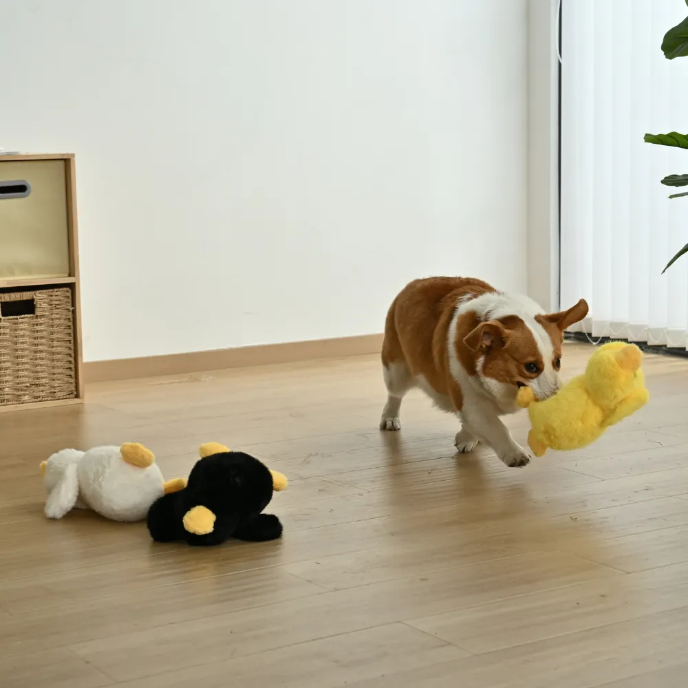 Cute Duckling Style Plush Dog Toy with Squeaker5_Duck Dog Toy, 3 Colors Assorted, 12pcsCarton