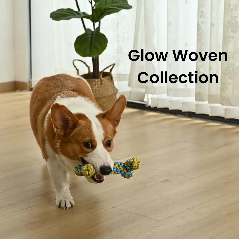 Glow in the Dark Bone Style Bone Shaped Rope Dog Toy, 60 pcsCarton