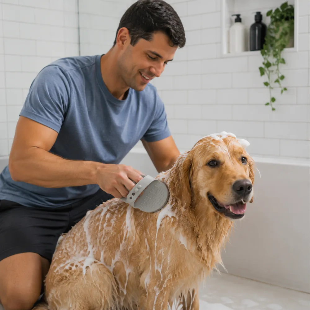 Plastic Pet Grooming Brush Set, 3 4 SetsCarton