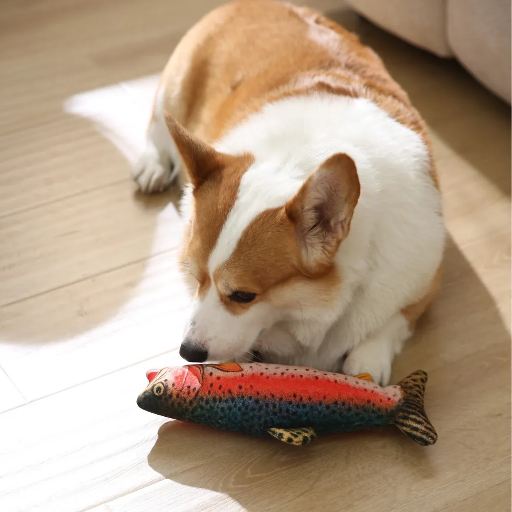 Realistic Durable Squeaky Rainbow Rainbow Trout Plush Dog Toy, 24 pcsCarton