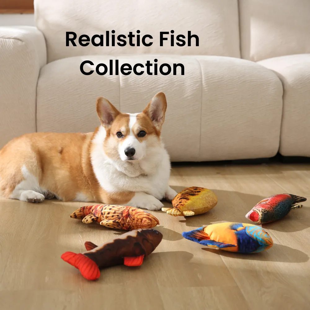 Realistic Durable Squeaky Rainbow Trout Style Rainbow Trout Plush Dog Toy, 24 pcsCarton