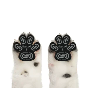Dog Paw Protector Pads for Hot and Cold Surfaces, Size L, 3 Colors Assorted, 70pcsCarton
